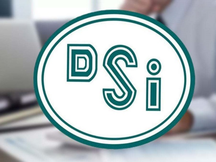 DSİ Ruhsatları